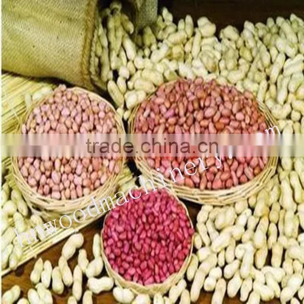 Peanut Sheller Machine photo-4