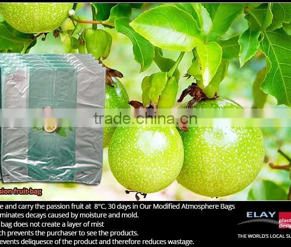 Dragon Fruit Bag photo-3