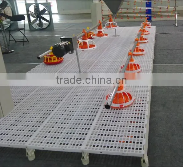 Hot Poultry Type for Chicken and Duck Use Floor Plastic photo-6