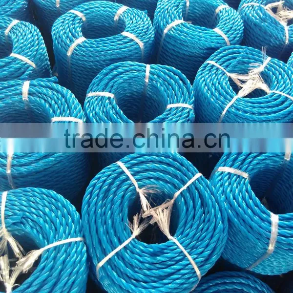 6mm Twisted Cord/Rope Manufacturer From Taian, China photo-5
