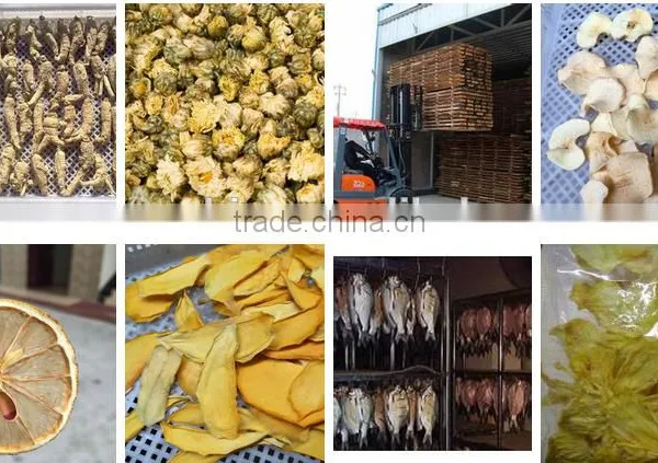 China Supplier Lemon Chips Drying Machine photo-5