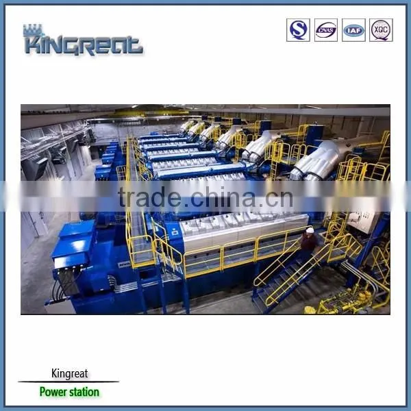 HFO and Lube Oil Fired Power Plant photo-4