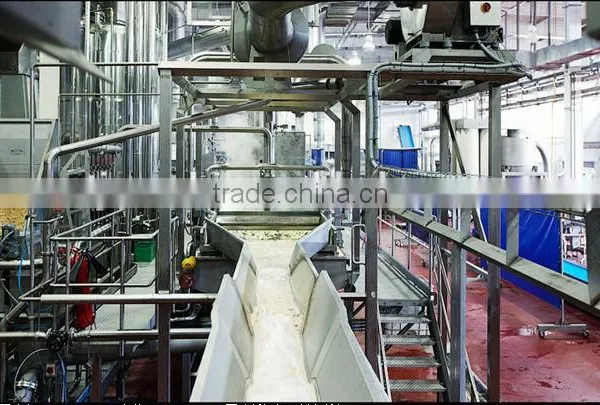Potato Chips Machine,China Supplier,fried Potato Chips Production Line photo-4
