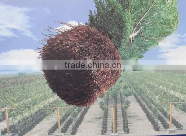 Fast Grow Rapid Cultivating Root Container photo-4