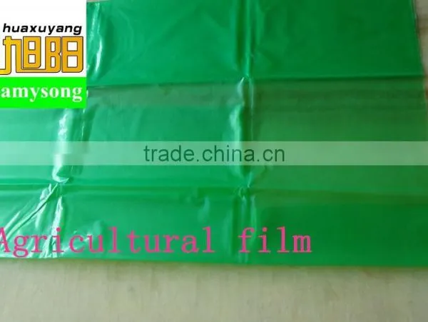 Blow Molding LDPE Plastic Perforated Green Color Tomato pe Tube Film photo-3