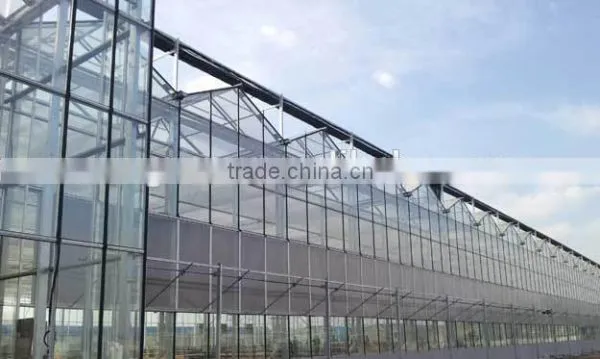 Glass Greenhouse-8 photo-2