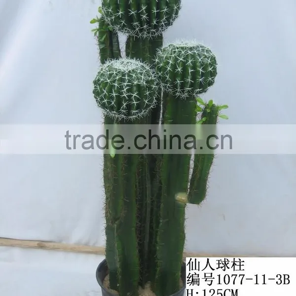 Top-quality Decoration Artificial Hoodia Cactus/opuntia Dillenii Haw photo-6