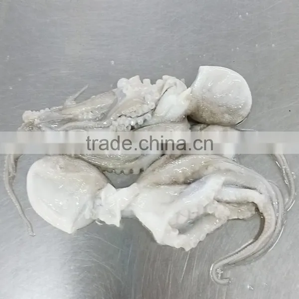 Frozen Baby Octopus in Ball Shape photo-3