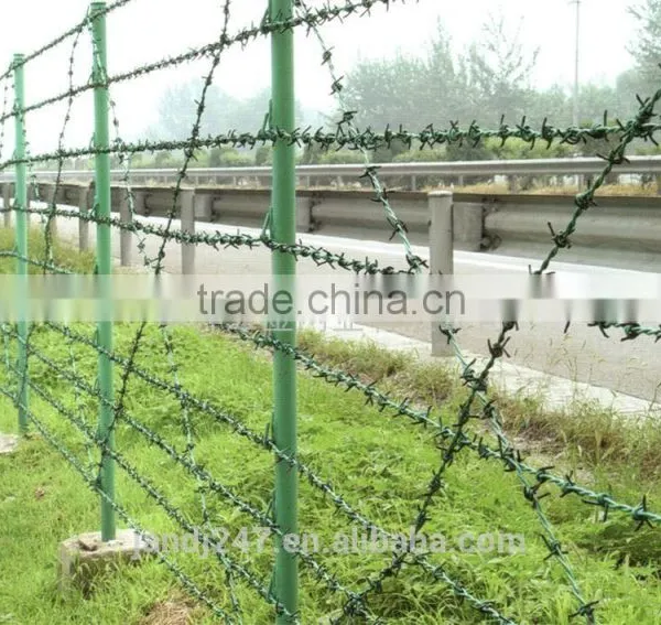 Low Price Green Color Barbed Wire for Construction photo-3