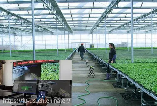 Multi Span PC GLASS Agricultural Greenhouse photo-4