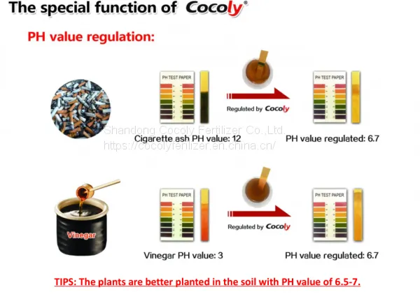 Cocoly Granular Water Soluble Fertilizer+TE photo-3