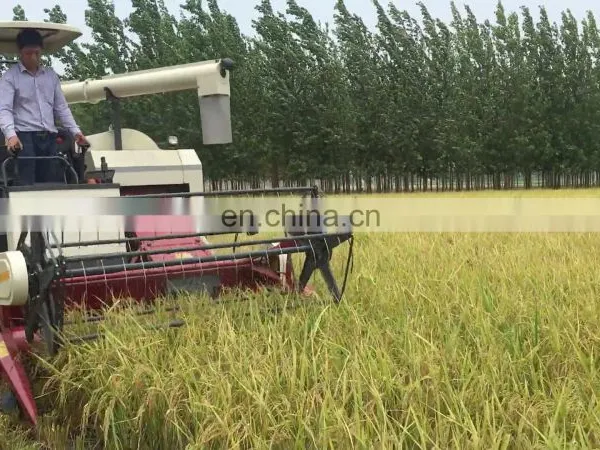 Self-propelled Whole-feeding 4LZ-4.0E Big Grain Tank Combine Harvester Wheat Cutting Machines With Good Price