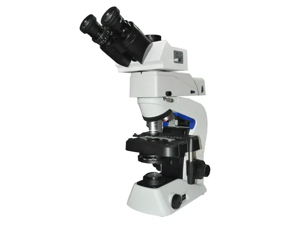 Fluorescence Microscope MF23 photo-2