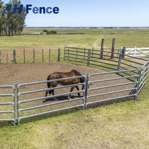 Easy-Clean Horse Panel: Non-Porous Solid Surface for Simple Disinfection and Superior Stable Hygiene Management