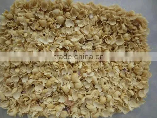 Hot Sale Garden Beans Peeling Machine/garden Bean Skin Remove Machine With Lower Price photo-6