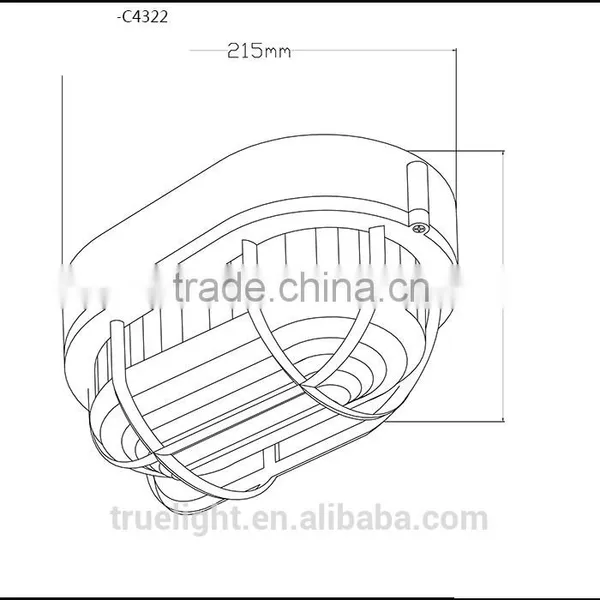 Luxury Ceiling Lamg With Rust Metal Included Glass and Iron Line Cage photo-2