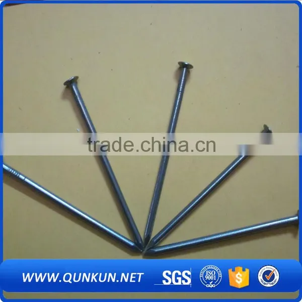 Common Steel Wire Nails High Quality photo-4