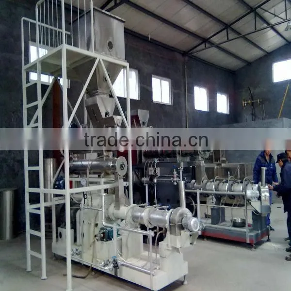 Twin Screw Extruder