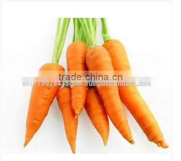 Sale Frozen Carrot photo-3