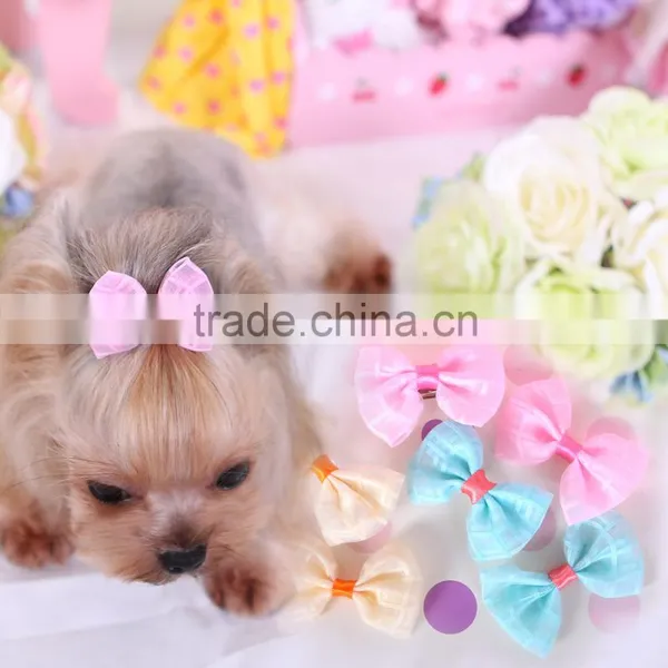 wholesale pet hair decoration