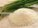 IRRI 6 Rice