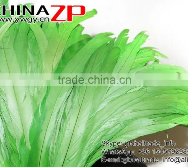 Leading Supplier CHINAZP Bulk Sale Cheap Colored Lime Green Chicken Fully Dyed Roosters Feathers photo-4