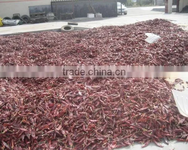 Red Dried Chilli