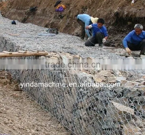 Factory Price Professional Manufacturer Heavy Hexagonal Wire Mesh Machine photo-6
