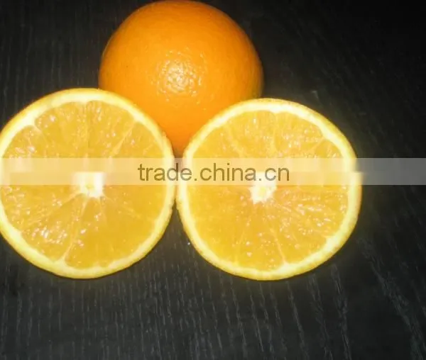 Fresh Navel Orange photo-2