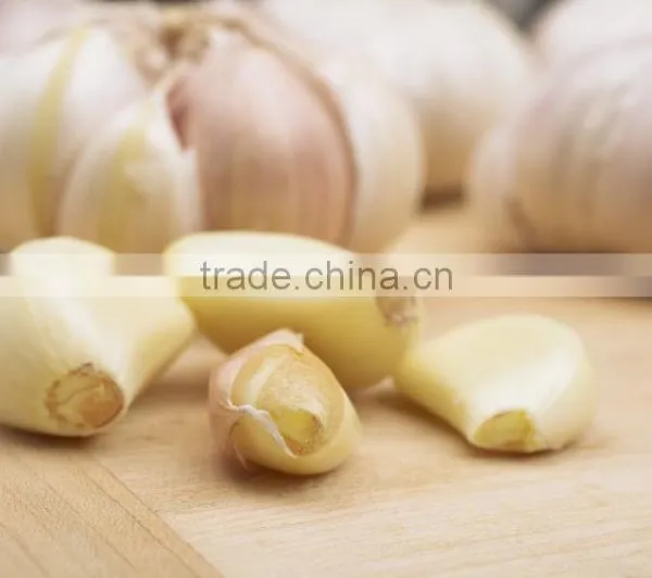 Peeled Garlic CCD Belt Color Sorter Machine photo-2