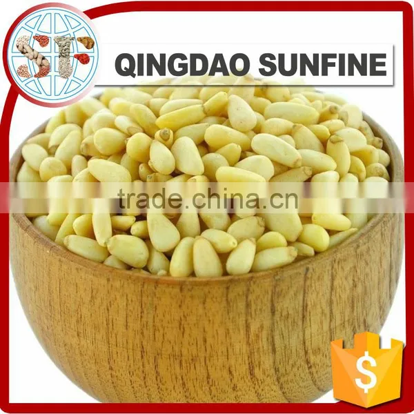 Organic Pine Nuts Kernels