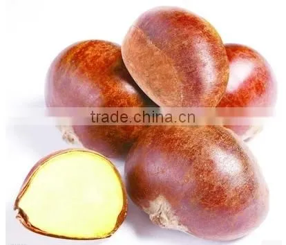 2015 New Raw Fresh Chestnuts photo-3
