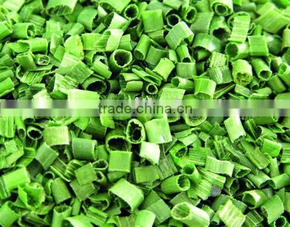 FD Freeze Dried Dehydrated Green Chive
