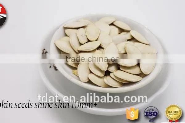 Shine Skin Pumpkin Seeds (10mm)