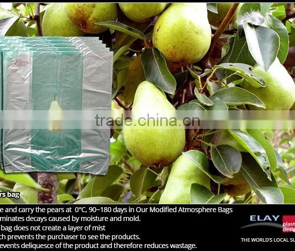 Melon Bag photo-3