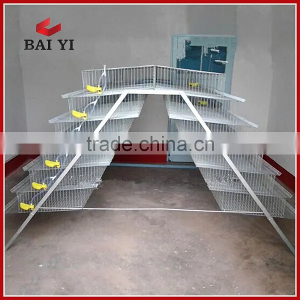 Quail Egg Cage For Quail Egg Production photo-2