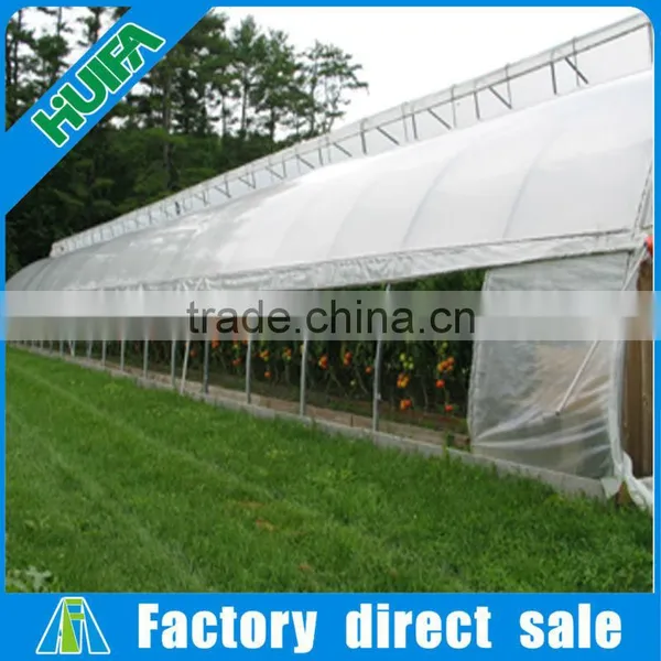 New Design Hot Sale Steel Frame High Tunnel Greenhouse photo-3