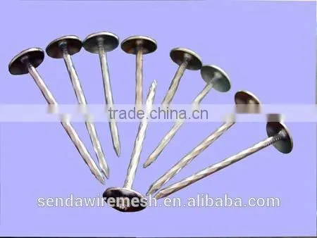 Common Nails/roofing Nails /iron Nails photo-4