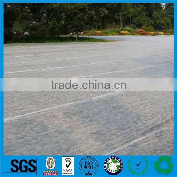 Non Woven Needle Punched Polyester Geotextile,non Woven Geotextile