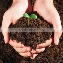 Seed Nutrition Cube Pressing Machine photo-6