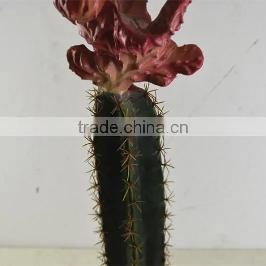 SJ3001101 Artificial Cactus Plant/cheap Artificial Plants/red Cactus Plant photo-4