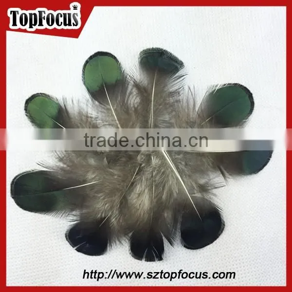 Carnival Decorate Green Loose Lady Amherst Pheasant Feathers for Sale photo-5
