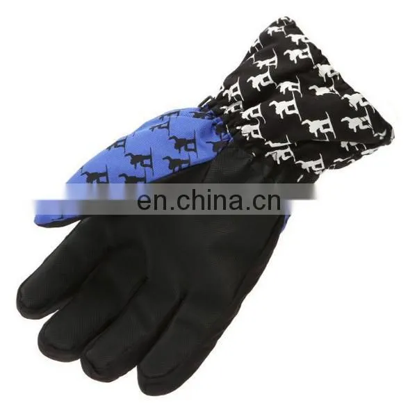 Professional High Quality Colorful Customized Waterproof Winter Outdoor Ski Gloves photo-4