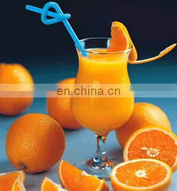 Multi-purpose Fruit And Vegetable Juicer / Industrial Pineapple Juice Extractor Machine | Pineapple Juice Extractor Machine photo-5