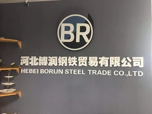 Hebei Borun Steel Trade Co., Ltd company overview - view 2
