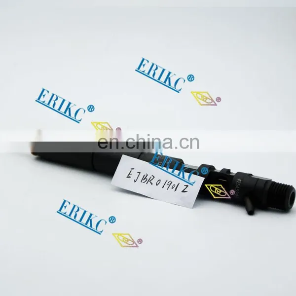 ERIKC EJBR01901Z Common Rail Injector EJB R01901Z Daf Injector Pump EJBR0 1901Z Automotive Parts Fuel Injector Euro 3 for Delphi photo-5