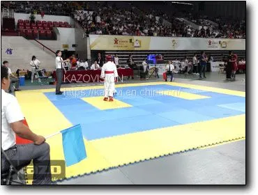 Electronic Protective Equipment for Combat Competitions photo-5