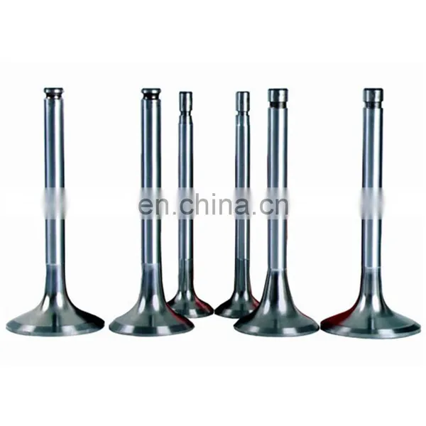 For China Fujian Lijia Sl2100 Sl2105 Sl3105 Sl4105 Sl4108 Diesel Intake and Exhaust Engine Valve Parts photo-3