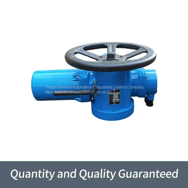 Bernard Multi-rotary Electric Actuator DZW10 Switch Type Valve Electric Device photo-3