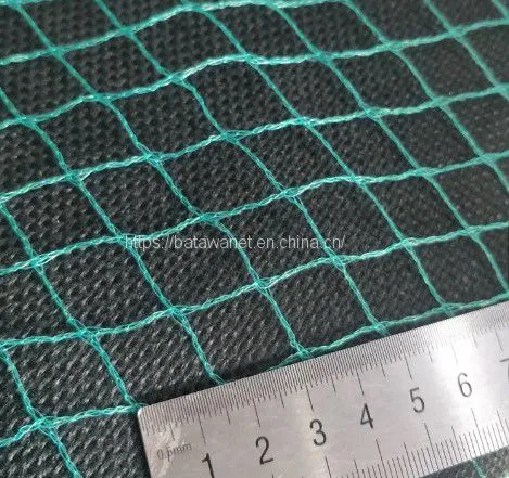 Agriculture Garden Protection Net Mesh High Strength HDPE Warp Knitted Green Bird Netting photo-4